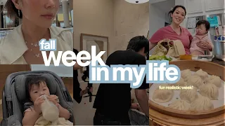 Come spend a week with me as a cosmetic dentist || dental jewelry, filming, + my $10K side hustle 🦷