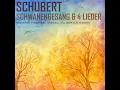 Schwanengesang, D. 957: XIV. Die Taubenpost