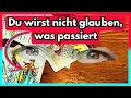 Download Lagu 💘 Dieser Mensch wird dir offen gestehen was er wirklich will!  #tarot