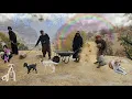 Real Nomadic Life in a Dangerous Rainy Day | Flood Survival \u0026 Saving Goats۱۳ دسامبر ۲۰۲۵