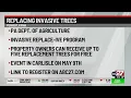 Pennsylvanians may be eligible for free trees Here s how