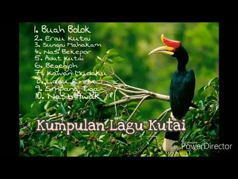 Download MP3 Kumpulan Lagu Kutai