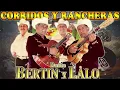 Download Lagu Dueto Bertin Y Lalo Mix Para Pistear | Corridos y Rancheras Exitos || 30 Canciones Exitos Inmortales