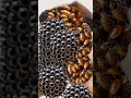 https://youtu.be/dI9mja2a3VA?si=8pVs0K8ReWxHr-TK