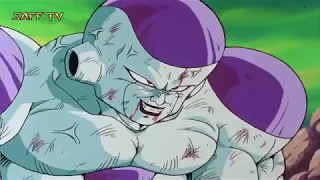 غوكو يقضي على الشرير فريزر في كوكب ناميك دراغون بول 