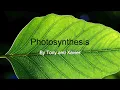 Biology Photosynthesis