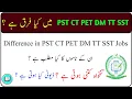 What is the difference between PST CT PET DM TT SST Teaching Jobs meaning salary and duty