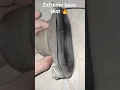 Download Lagu Extreme bass test🔥 then this happened #shorts #bassboosted #bass #lowbass #basstest #viral #try