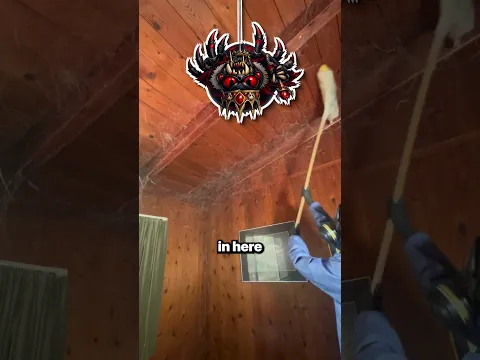 The THICKEST cobwebs