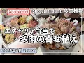Download Lagu 606{多肉植物} エケベリア弁当購入してすぐ寄せ植えしてみた！【多肉事】【多肉狩り】【抜き苗】【ba多肉】【baチャンネル】【Succulent】