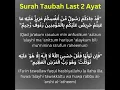 Surah Tubba Last 2 Ayat #holyquran #read #viralvideo # MTquran