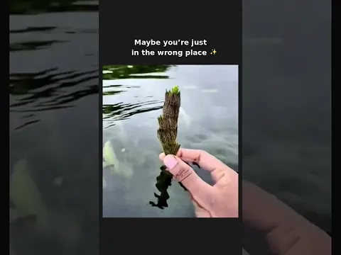 The right place changes everything 🌱 subscribe for more #shorts