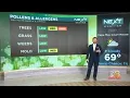 NEXT Weather High pollen count today