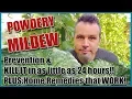 Prevent Treat Powdery Mildew and 4 Home Remedies that Work