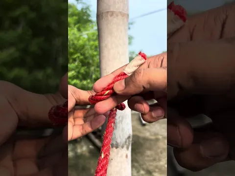 The Best Rope Knot to Secure a Sack – Practical Strong #shorts #natanknot #knot