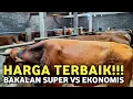 Download Lagu SAPI UDAH MURAH ‼️ HARGA SAPI BAKALAN QURBAN TERBARU HARI INI