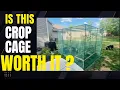 VEVOR Crop Cage Review Plant Protection Tent for Garden