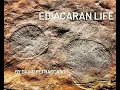 Download Lagu 2021 Documentary Ediacaran Fossils of Ikara Flinders Rangers S.A.