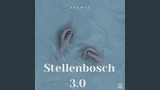 stellenbosch 3 0