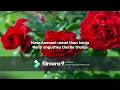 Sammatham Thanthuten Nambu Song