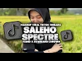 Download Lagu DJ SALEHO X MELODY SPECTRE X AVANGARD X FADED VIRAL TIKTOK SLOW BASS 2024