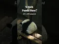 Which Chengdu Panda Base is Right for You How to Avoid 3-Hour Queues Book Volunteer Programs