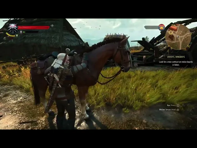 The new feature in the next version The Witcher 3 is connected to Roach