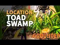 Toad Swamp Grounded Location