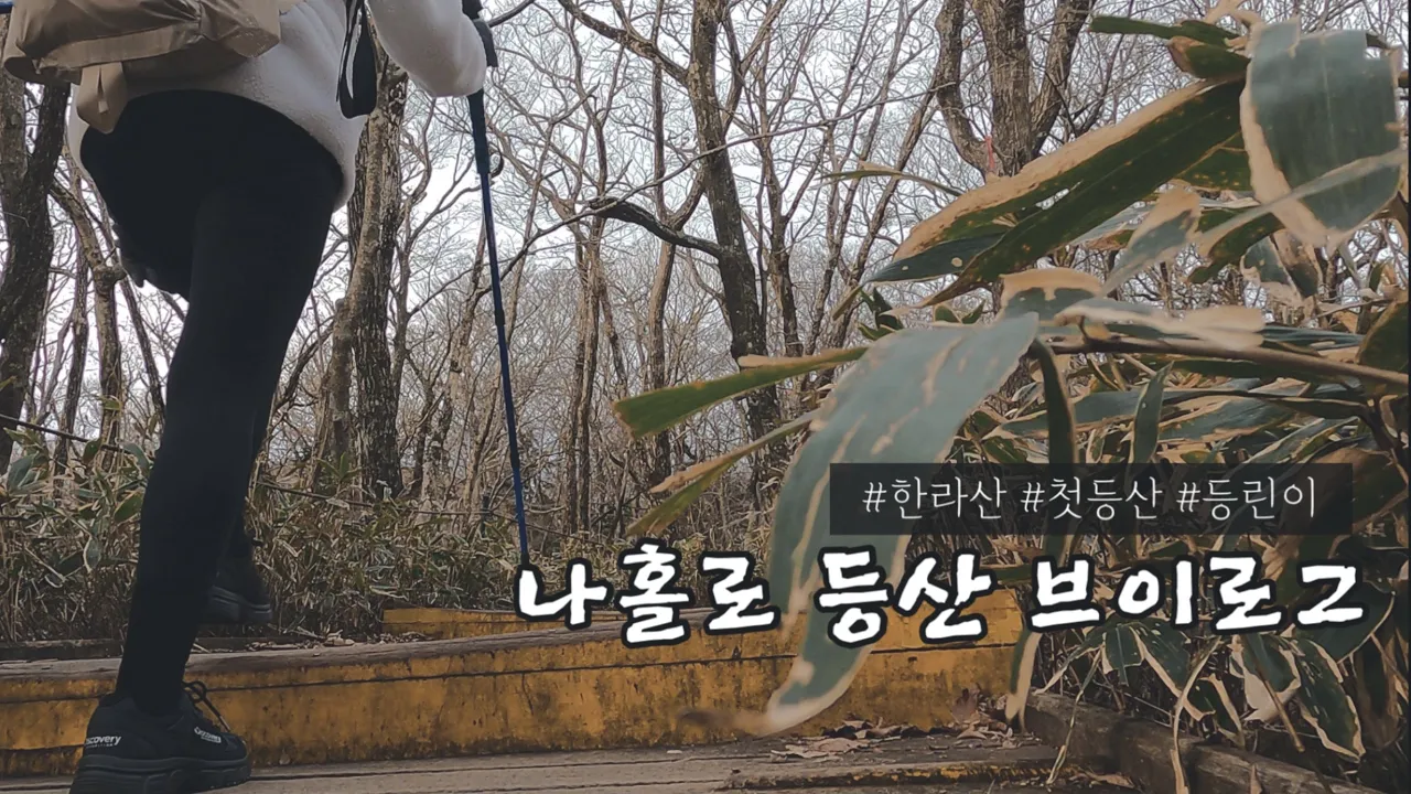 관련 영상 썸네일