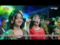 Download Lagu Edan Turun // All Artis//New Pallapa Live Wonosari-Demak 4 Mei 2023