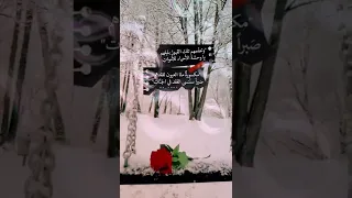 رحم الله ضحكات لا تنسى وملامح لا تغيب عن البال 