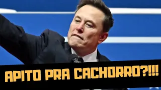 SAUDAÇÃO DE ELON MUSK FOI APITO PRA CACHORRO?!!!