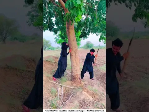 #bts