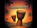 Played-A-Live (The Bongo Song)