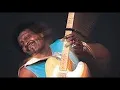 Albert Collins-I Got a Problem