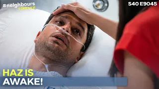 Haz Finally Wakes Up Neighbours S40 E9045