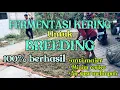 Download Lagu CARA MEMBUAT PAKAN FERMENTASI KERING UNTUK KAMBING DOMBA BETINA INDUKAN ANTI MAJER ‼️100% BERHASIL