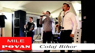 Download Mile Povan Live Colaj Bihor- Am trei flori in pălărie || Petre, Petre || Iara bem s-o facem lată MP3