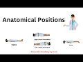 Anatomical Positions Anatomical Positions in Hindi Anatomical Positions in nursing