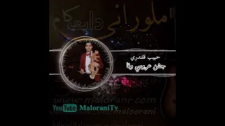 حبیب قلندری جشن عروسی وفا Habib Ghalandari Vafa 