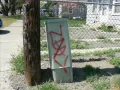 Yakima Washington Gangs