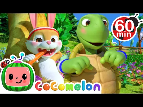 Download MP3 The Tortoise and the Hare + Baa Baa Black Sheep + MORE ! | @Cocomelon - Nursery Rhymes ​| Kids Songs