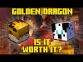 Is the Golden Dragon Pet Really Worth It