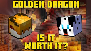 Is the Golden Dragon Pet Really Worth It