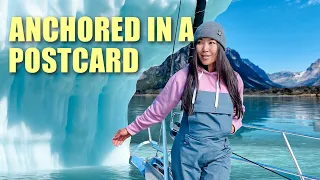 A Day in Arctic Paradise: Fishing, Icebergs, Nature Flexing Hard – Ep 253