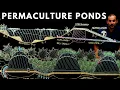 Download Lagu PERMACULTURE PONDS: Why, Where \u0026 How