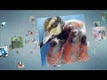 Dawn Wildlife Campaign Little Things Ad