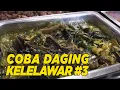 Download Lagu Jadi daging kelelawar ini halal gak ya buat dimakan | HALAL