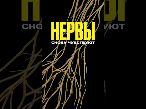 Почему люди чувствуют себя ДРУГИМИ после ПЕРЕСАДКИ ОРГАНОВ?