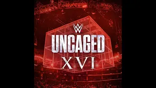 WWE Uncaged XVI wishlist